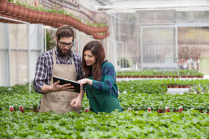 Garden Worker Using Digital Tablet
